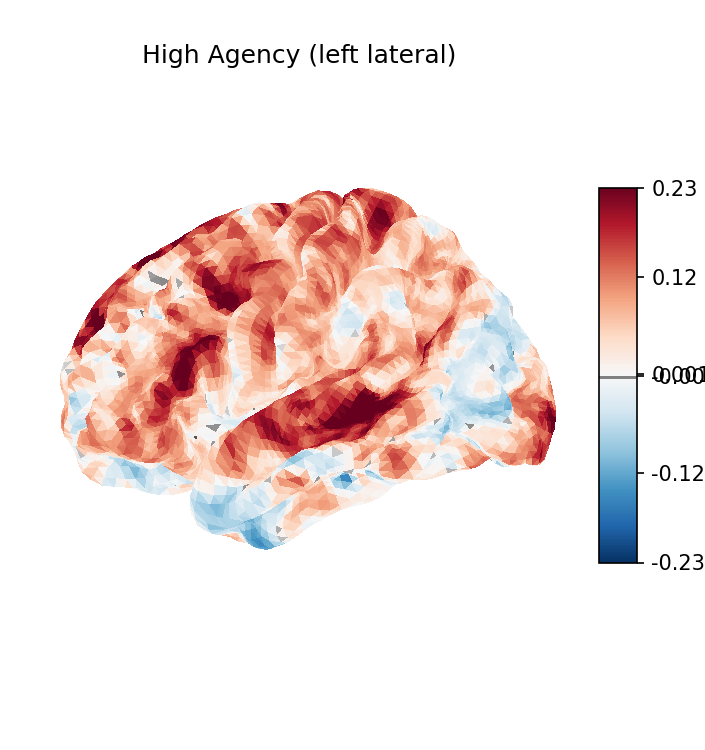 High Agency brain activation