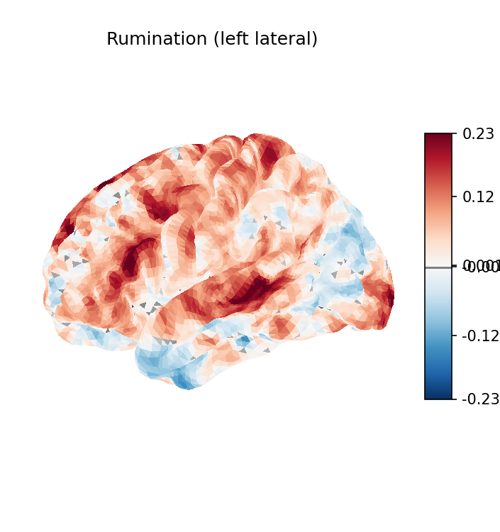 Rumination brain activation