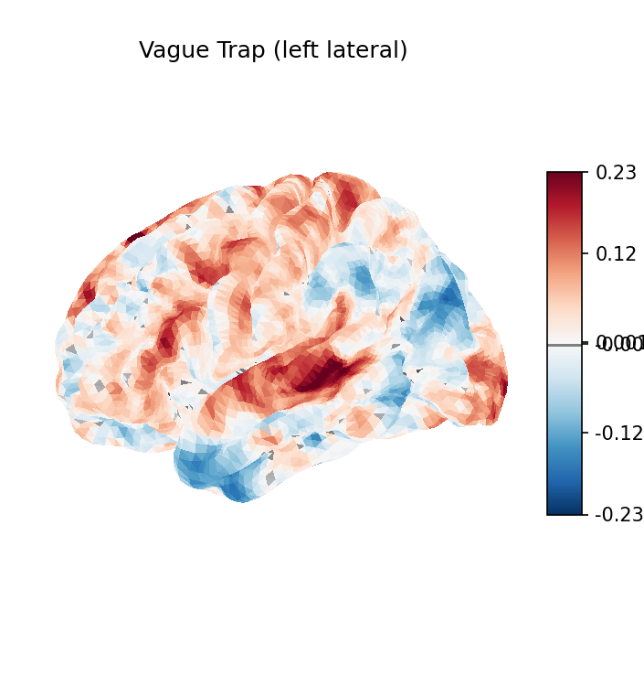 Vague brain activation